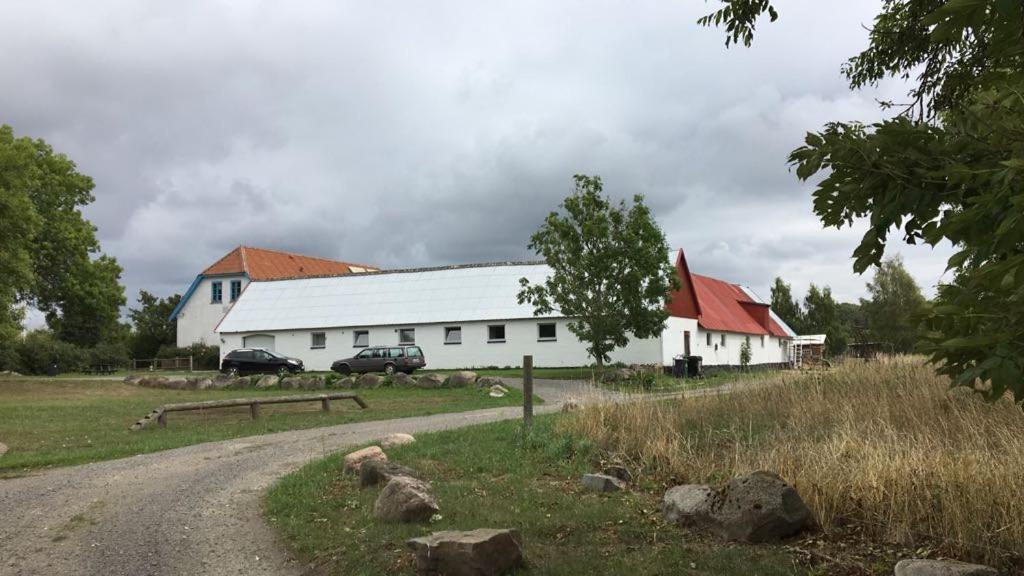 Апартаменти Bornholm Majalis Ренне Екстер'єр фото